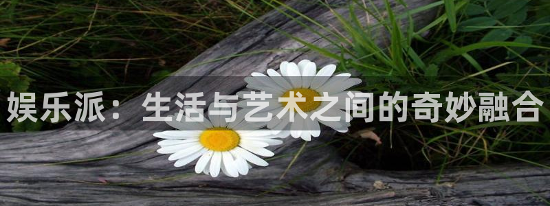 好彩运官网