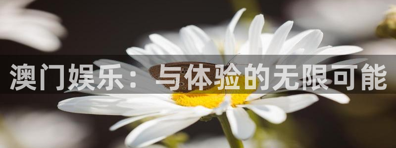 好彩运
