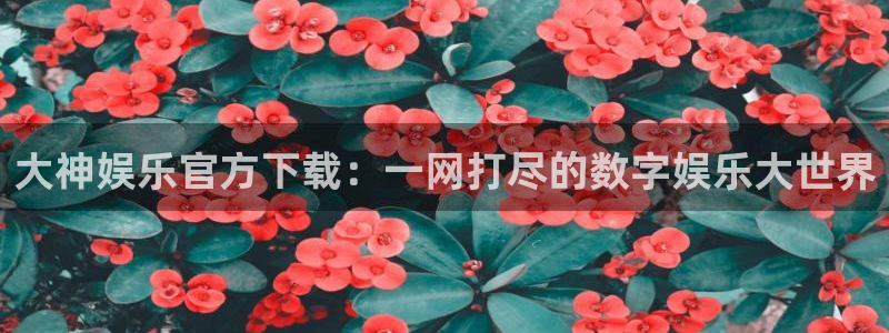 好彩运吧：大神娱乐官方下载：一网打尽的数字娱乐大世界