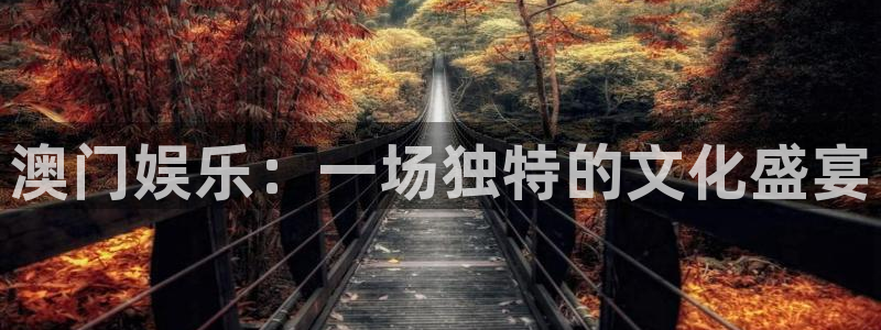 澳门好彩运集团：澳门娱乐：一场独特的文化盛宴
