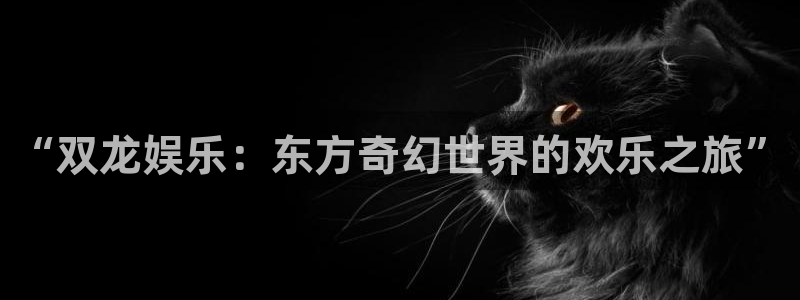澳门好彩运集团：“双龙娱乐：东方奇幻世界的欢乐之旅”