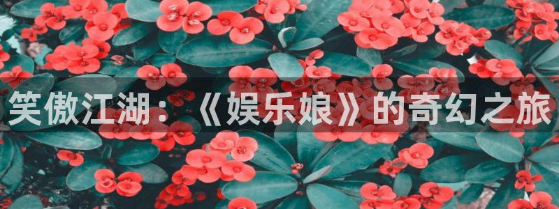 好彩运吧：笑傲江湖：《娱乐娘》的奇幻之旅