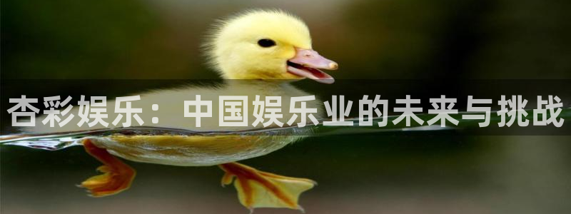 好彩运快：杏彩娱乐：中国娱乐业的未来与挑战