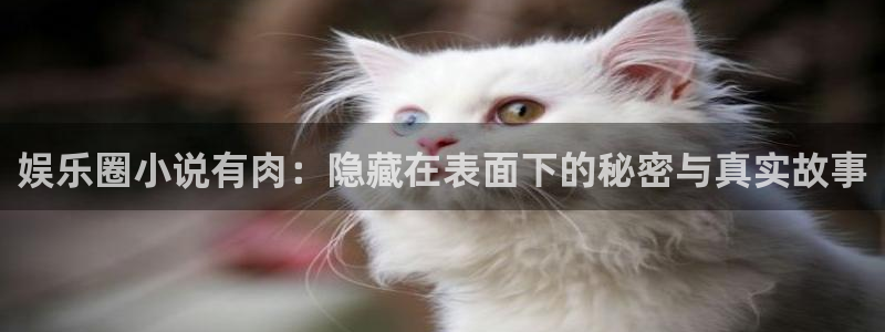 澳门好彩运集团：娱乐圈小说有肉：隐藏在表面下的秘密与真实故事