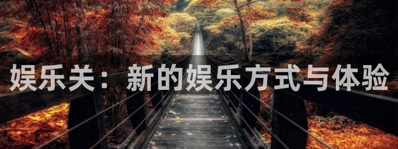 好彩运意思：娱乐关：新的娱乐方式与体验