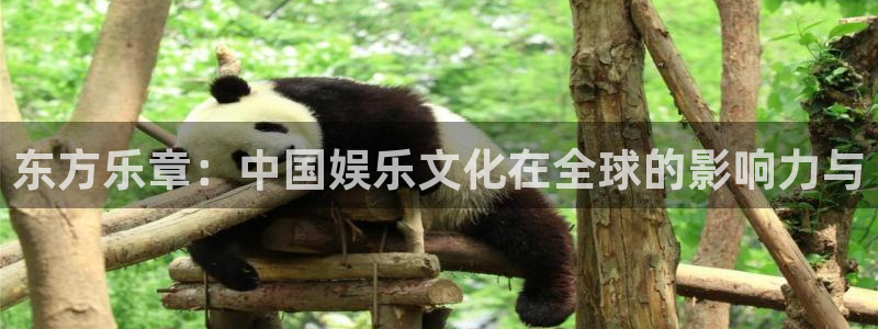 好彩运集团：东方乐章：中国娱乐文化在全球的影响力与
