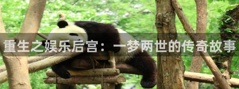 澳门好彩运集团：重生之娱乐后宫：一梦两世的传奇故事