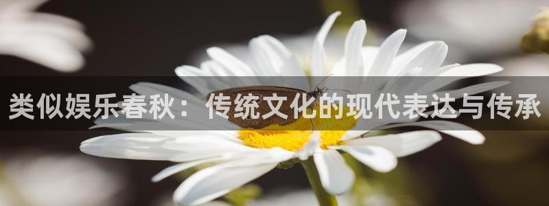 好彩运意思：类似娱乐春秋：传统文化的现代表达与传承